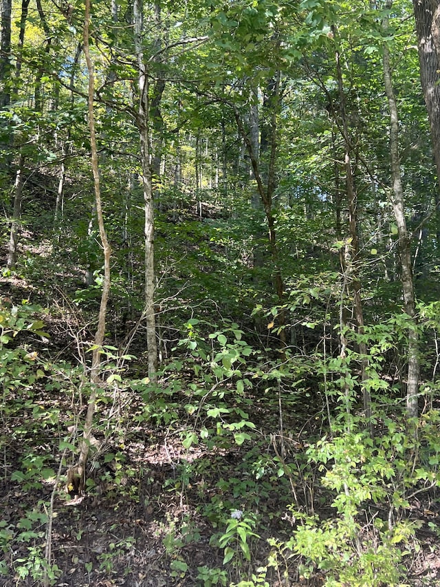 Listing photo 3 for 0 Neeley Creek Rd, Celina TN 38551