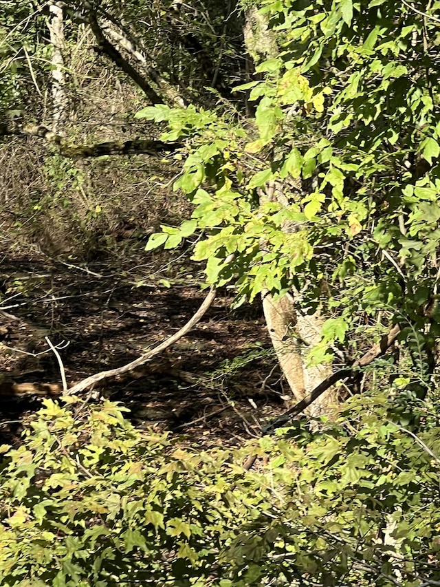 0 Neeley Creek Rd, Celina, TN 38551