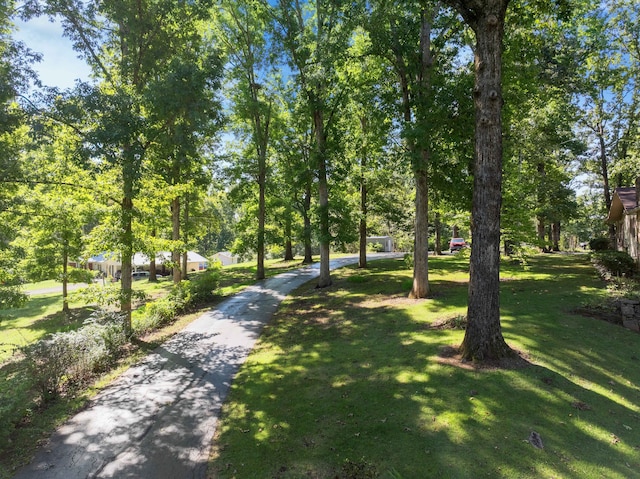 surrounding community featuring a lawn