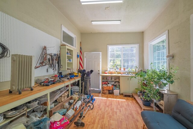 interior space with wood finished floors and a workshop area