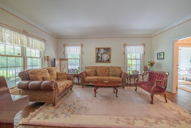 living room with ornamental molding and hardwood / wood-style floors