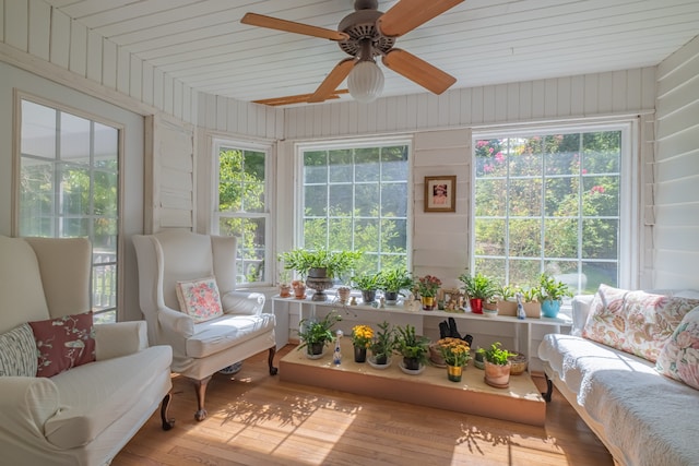 sunroom / solarium with a wealth of natural light and ceiling fan