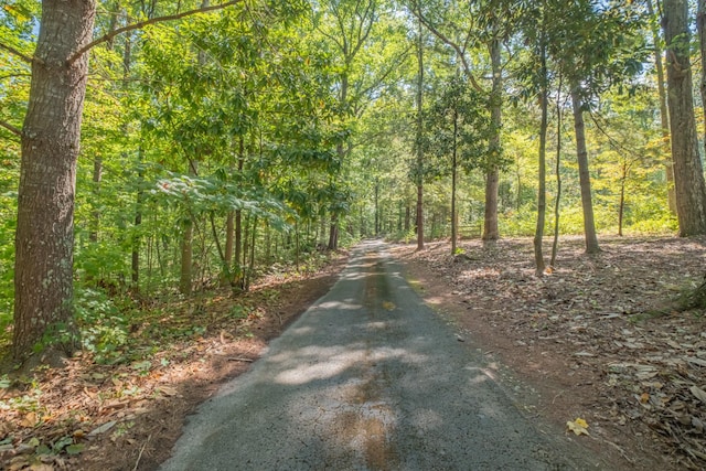 view of street with a forest view