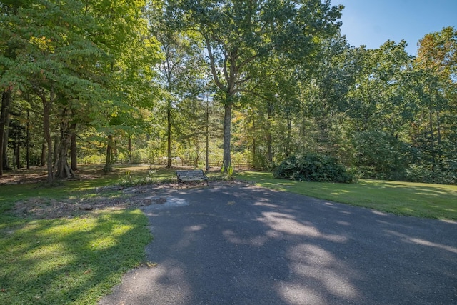 view of road with a wooded view