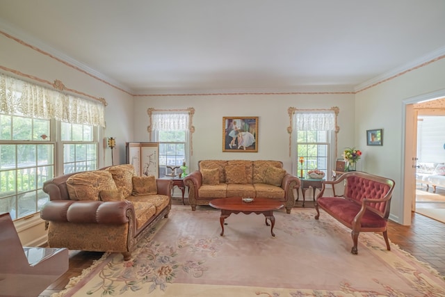 living room with ornamental molding and a healthy amount of sunlight