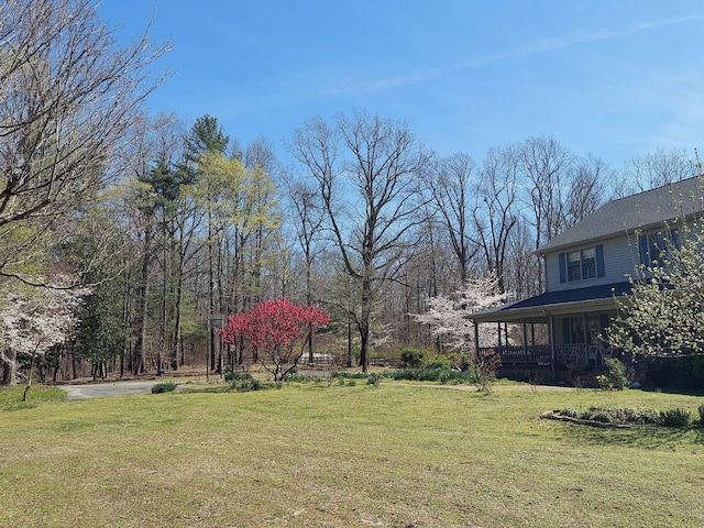 view of yard