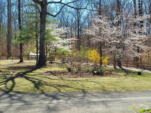 view of yard with a forest view