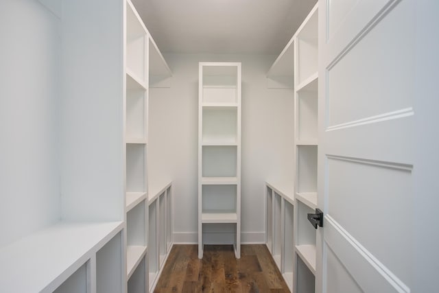 spacious closet with dark hardwood / wood-style flooring