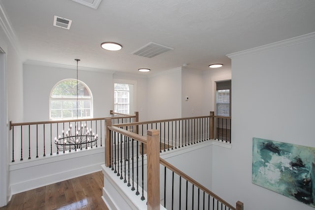 hall featuring a notable chandelier, a textured ceiling, crown molding, and dark hardwood / wood-style flooring