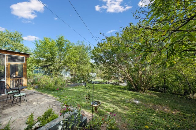 view of yard with a patio area