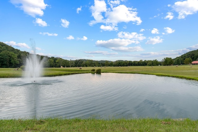 view of water feature