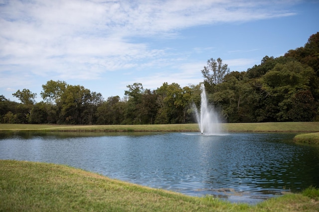 water view