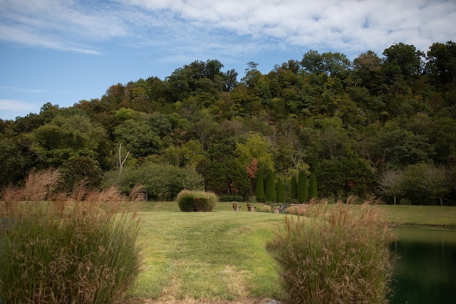 view of local wilderness with a water view