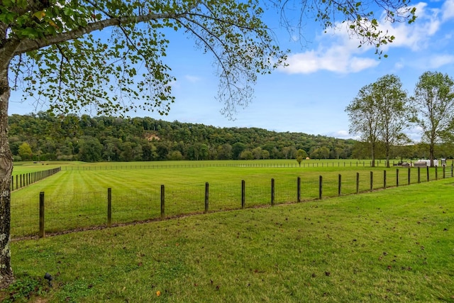 view of yard featuring a rural view