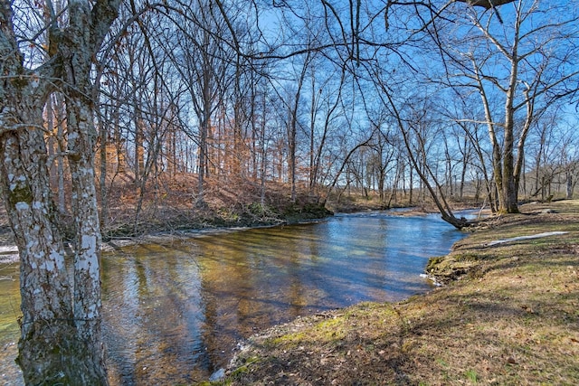 view of water feature