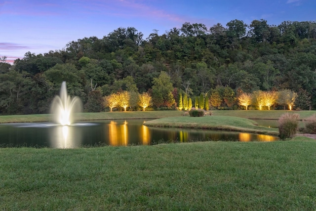 view of water feature