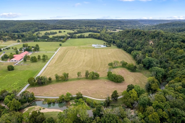 bird's eye view with a rural view and a water view