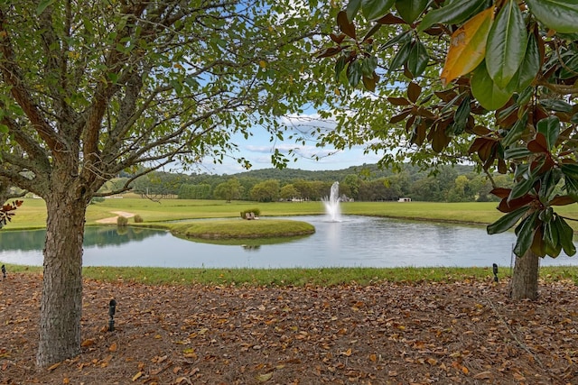 view of water feature