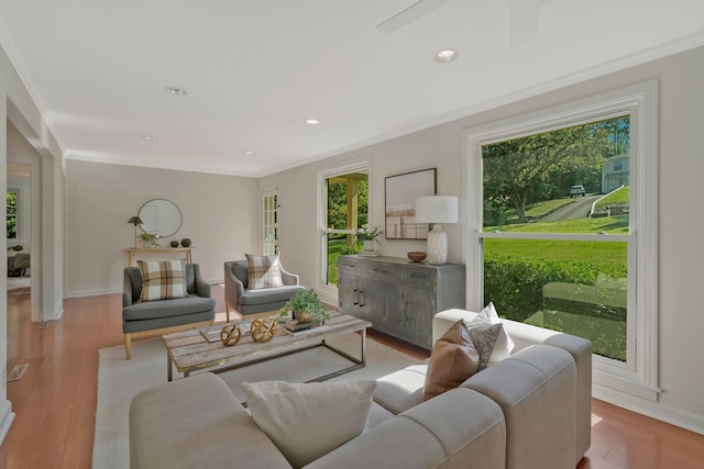 living room featuring light wood-type flooring and ornamental molding