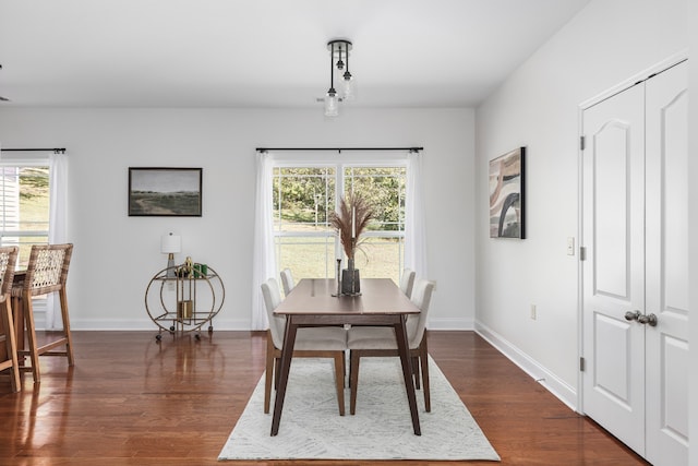 dining space featuring dark wood-type flooring