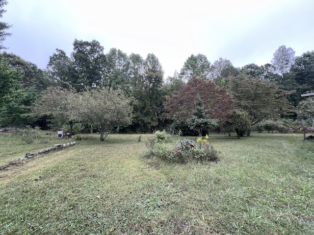 view of yard with a rural view