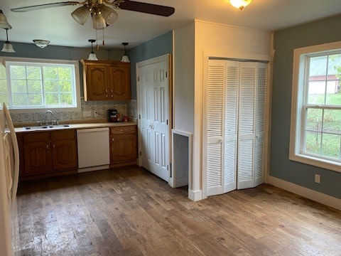 kitchen with light hardwood / wood-style flooring, a wealth of natural light, dishwasher, and sink