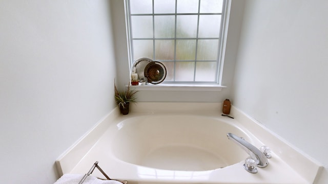 bathroom with a bathing tub