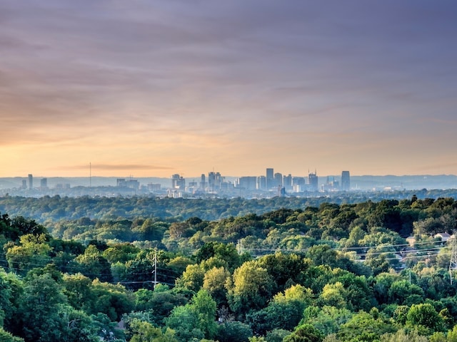 view of aerial view at dusk