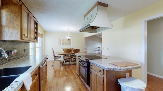 kitchen featuring tasteful backsplash, light wood-type flooring, ventilation hood, black electric range, and sink