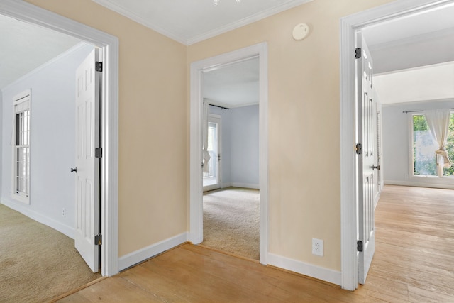 hall featuring light carpet and ornamental molding