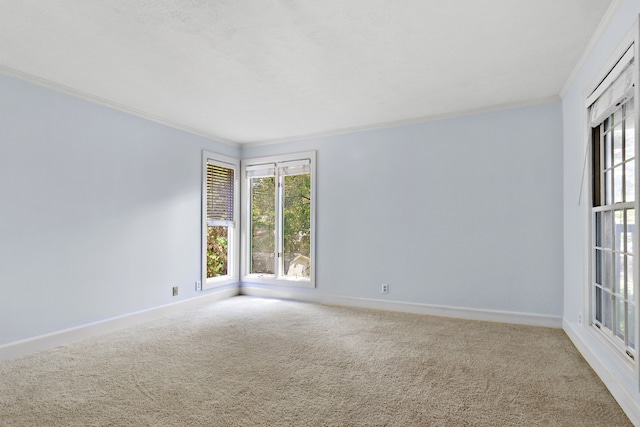 empty room featuring crown molding and carpet flooring