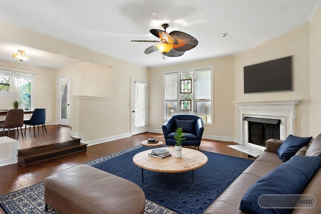 living room featuring ceiling fan, ornamental molding, and dark wood-type flooring