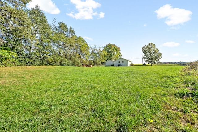 view of yard featuring a rural view