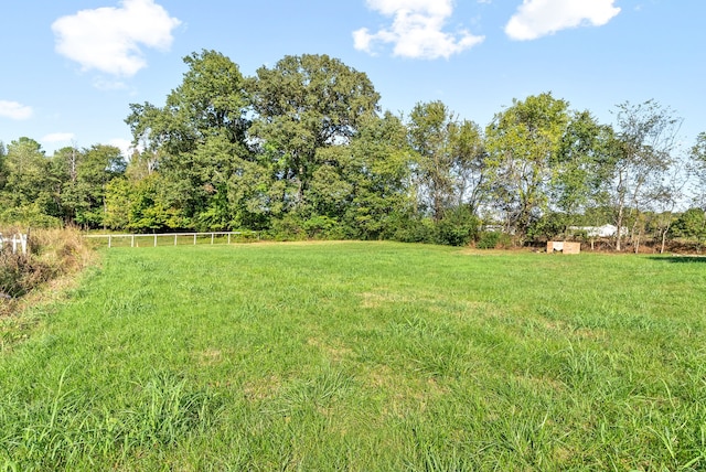 view of yard with a rural view