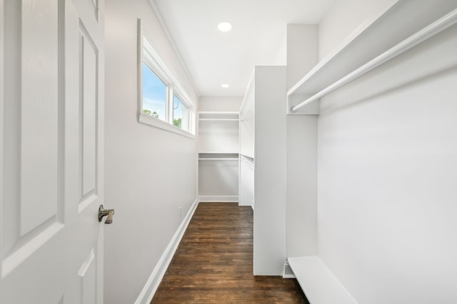 spacious closet with dark hardwood / wood-style floors