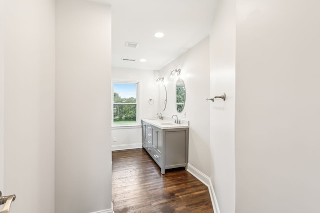 bathroom featuring wood-type flooring and vanity