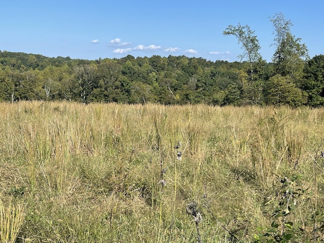 0 Oak Grove Rd, Red Boiling Springs, TN 37150