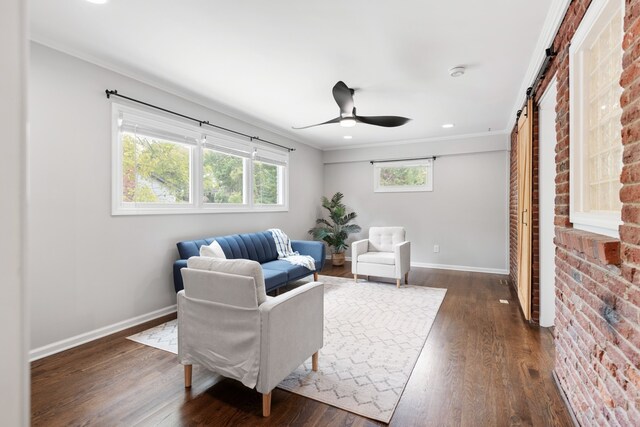 living room with ornamental molding, a wealth of natural light, dark hardwood / wood-style floors, and a barn door