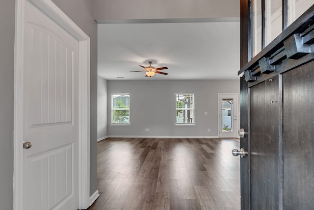 entrance foyer featuring ceiling fan and dark hardwood / wood-style floors