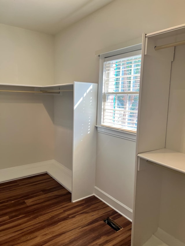 spacious closet featuring dark hardwood / wood-style floors