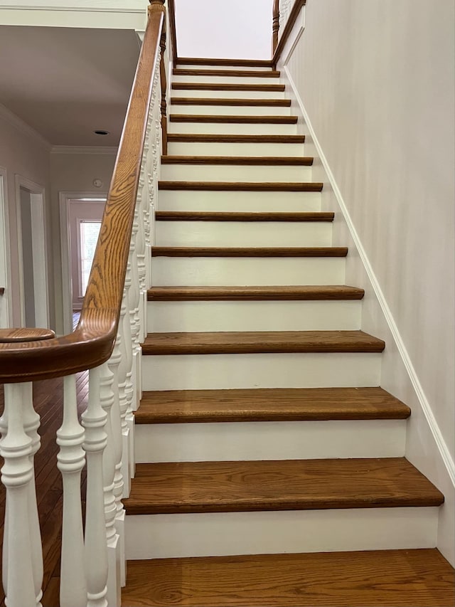 stairs with wood-type flooring and ornamental molding