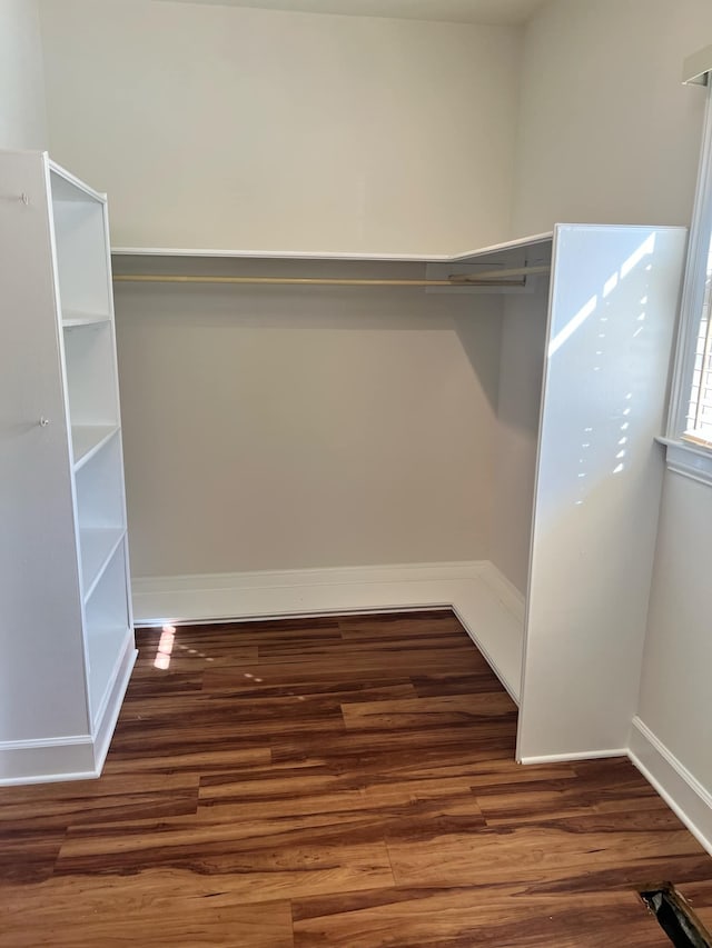 walk in closet featuring dark wood-type flooring