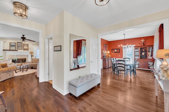 interior space featuring ceiling fan with notable chandelier, a premium fireplace, and dark hardwood / wood-style flooring