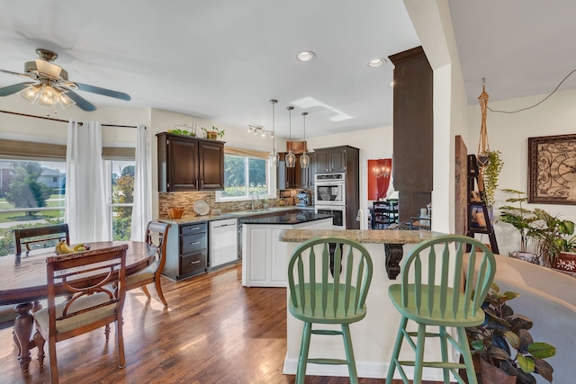 kitchen with dark brown cabinetry, appliances with stainless steel finishes, dark hardwood / wood-style floors, and tasteful backsplash