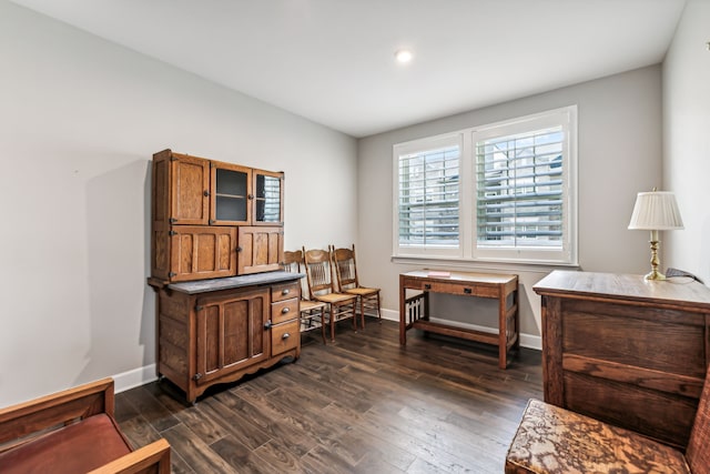 living area with dark hardwood / wood-style floors