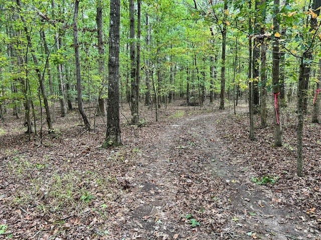 0 Laurel Lake Dr, Monteagle TN, 37356 land for sale