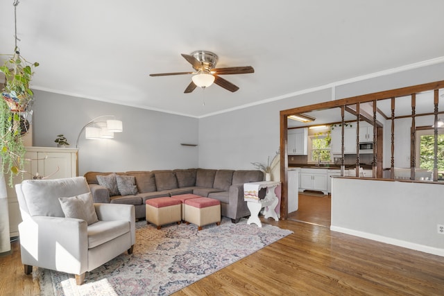 living room with sink, hardwood / wood-style flooring, and crown molding