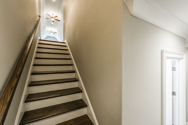 staircase featuring wood-type flooring and ceiling fan