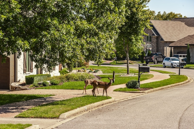 view of property's community featuring a yard