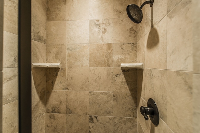 room details with tiled shower